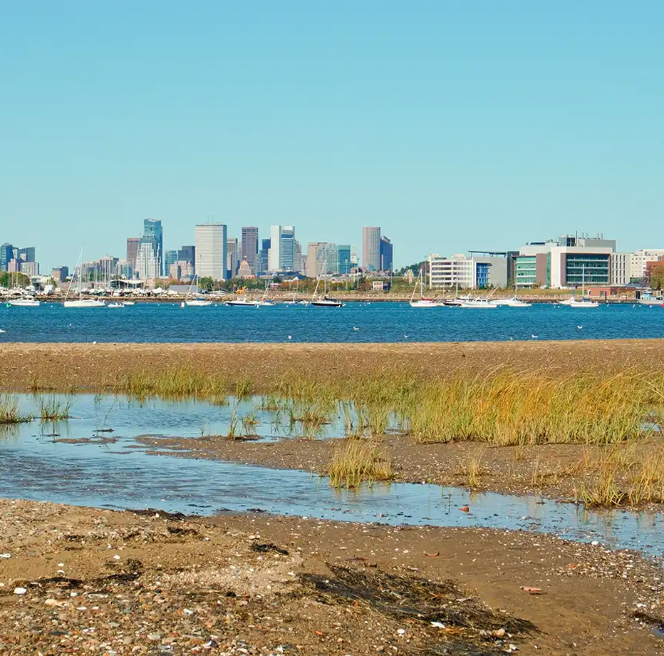 services We proudly serve the South Shore and Greater Boston area